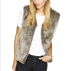 Aritzia Park Slope Fur Vest